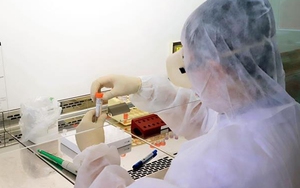 Tất cả mẫu xét nghiệm của người tiếp xúc với bệnh nhân 950 ở Vân Đồn đều âm tính với SARS-CoV-2