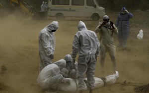 Sáng 30/9, thế giới có gần 34 triệu ca nhiễm Covid-19