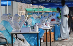 Dịch COVID-19 ngày 23/11: Thế giới có hơn 59,127 triệu ca bệnh, 1,396 triệu ca tử vong