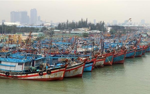 Bão số 10 có gió giật cấp 11 sẽ gây mưa lớn tại miền Trung