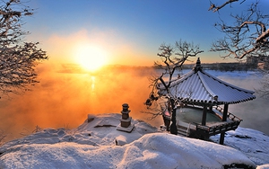 Xem 5 phim Hàn chọn lọc tại '2020 Korea Movie Week'