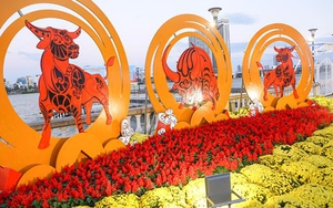 Chọn tuổi nào xông đất phù hợp nhất Tết Tân Sửu 2021?