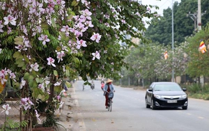 Từ ngày 1-10/3, Trung Bộ có lượng mưa cao hơn trung bình nhiều năm