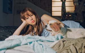 'Chờ em đến ngày mai' được chọn trình chiếu trong đợt phim Kỷ niệm các ngày lễ lớn năm 2021