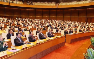 Tuần làm việc cuối cùng Kỳ họp thứ 11: Tập trung hoàn thành công tác nhân sự Nhà nước, Quốc hội, Chính phủ