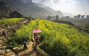Sa Pa, Lào Cai bùng nổ với loạt chương trình kích cầu hút khách du lịch