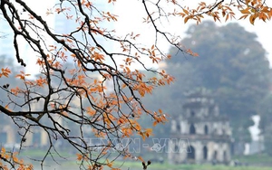 Hãng tin Đức DPA giới thiệu một số điểm du lịch đặc sắc ở Việt Nam