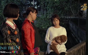 'Hương vị tình thân': Ông Sinh bị chặn đánh, bà Bích muốn đòi công nuôi dưỡng Nam