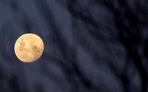 'Siêu trăng máu' - bữa tiệc thiên văn kỳ thú một lần trong một thập kỷ