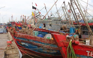 Bão số 2 di chuyển theo hướng Tây Tây Bắc và suy yếu dần thành áp thấp nhiệt đới