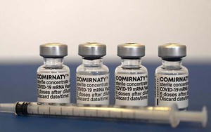 Chính phủ đồng ý mua bổ sung gần 20 triệu liều vaccine Pfizer