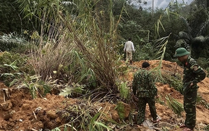 Thời tiết ngày 3/10: Bắc Bộ tiếp tục có mưa, mưa vừa, có nơi mưa to