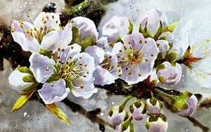 'Vẫn Tết chứ 2022': 9 họa sĩ lan tỏa thái độ lạc quan đầu năm mới