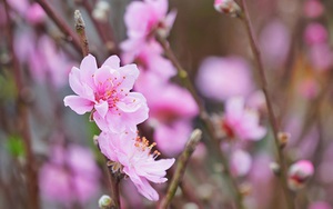 Cúng Rằm tháng Chạp vào ngày nào, giờ nào tốt nhất?