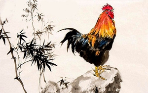 Tết Nhâm Dần 2022 chọn người xông đất tuổi nào tốt nhất cho gia chủ tuổi Dậu?