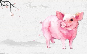 Tết Nhâm Dần 2022 chọn tuổi nào xông nhà tốt cho gia chủ tuổi Hợi?