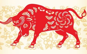 Tết Nhâm Dần 2022 chọn tuổi nào xông nhà tốt cho gia chủ tuổi Sửu?