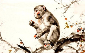 Gia chủ tuổi Thân chọn người xông đất tuổi nào tốt nhất dịp Tết Nhâm Dần 2022?