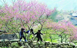 Bắc Bộ và Bắc Trung Bộ duy trì trạng thái rét đậm, rét hại