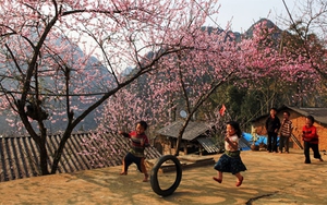 Danh sách những ngày hoàng đạo tháng Giêng năm Nhâm Dần 2022