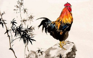 Tử vi tháng 2 âm lịch năm Nhâm Dần 2022 tuổi Dậu