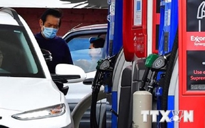 Nhu cầu ô tô điện giảm theo giá xăng