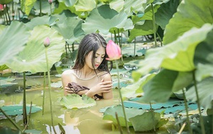 Dân mạng ‘ném đá’ dữ dội cô gái chụp ảnh khỏa thân dưới hồ sen