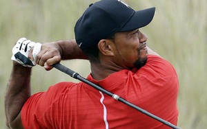 Tiger Woods bị bắt vì lái xe trong tình trạng say xỉn