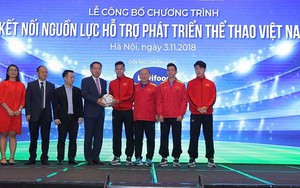 Vì sao đội tuyển Việt Nam vô địch AFF Suzuki Cup 2018?