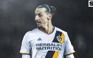 Ibrahimovic bị Bailly 'đuổi khéo' khi công khai tờ thông báo gia nhập LA Galaxy