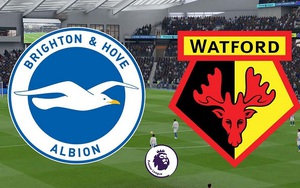 Soi kèo nhà cái Brighton vs Watford. K+, K+PM trực tiếp bóng đá Ngoại hạng Anh (23h30, 21/08)