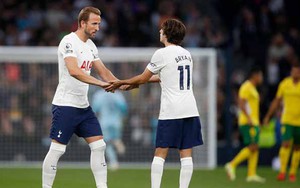Soi kèo nhà cái Tottenham vs Watford và nhận định bóng đá Ngoại hạng Anh (20h00, 29/8)