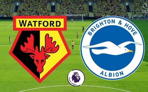 Soi kèo nhà cái Watford vs Brighton. Nhận định, dự đoán bóng đá Ngoại hạng Anh (22h00, 12/12)