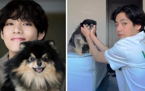 V BTS và Yeontan đốn tim fan với video mới, đứng Top trending toàn cầu