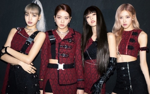 Fan tranh cãi việc Blackpink 'gián đoạn' quá lâu, ngỡ như nhập ngũ