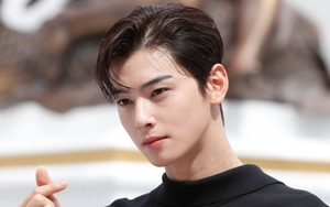 'Rụng tim' với visual của Cha Eun Woo Astro tại sự kiện Dior