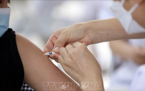 Dịch Covid-19: Gần 35.000 F0 khỏi bệnh trong ngày 11/9