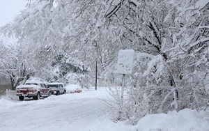 Bão tuyết khiến 1.000 người bị mắc kẹt tại bang Arizona, Mỹ