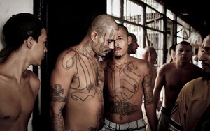 Mỹ bắt 230 đối tượng tình nghi thuộc băng nhóm tội phạm MS-13 nguy hiểm nhất thế giới