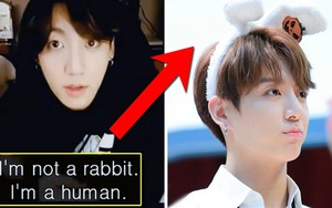 ARMY và BTS 'lật tẩy' những lời nói dối trắng trợn của Jungkook