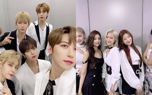 13 màn comeback đáng mong chờ nhất tháng Tám: BTS, Blackpink, ITZY...