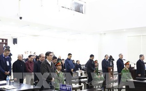 Hàng loạt vụ án kinh tế, tham nhũng lớn được khẩn trương giải quyết trong năm 2020