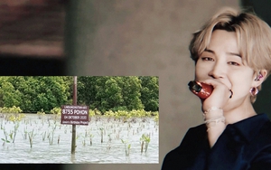 Choáng với dự án mừng sinh nhật Jimin BTS của ARMY