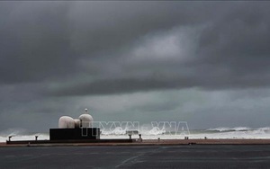 Từ Thanh Hóa đến Khánh Hòa: Chủ động ứng phó với bão siêu bão Goni