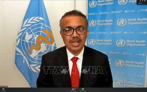 WHO: 'Dịch' kháng thuốc kháng sinh nguy hiểm như đại dịch Covid-19