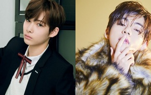 15 nam thần K-pop được yêu thích nhất Nhật Bản, V BTS chiếm ngôi đầu