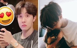 Khoảnh khắc chứng minh J-Hope BTS là mẫu bạn trai lý tưởng