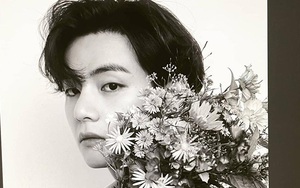 Sinh nhật V BTS: Fan càng yêu thần tượng gấp bội khi biết rõ 10 điều này