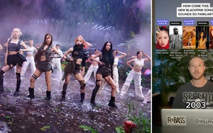TikToker ‘tố’ điểm tương đồng giữa 'Pink Venom' của Blackpink và bài hát cũ của các ngôi sao nổi tiếng khác