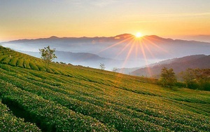 Những điểm thăm quan miễn phí ở Đà Lạt bạn nên biết